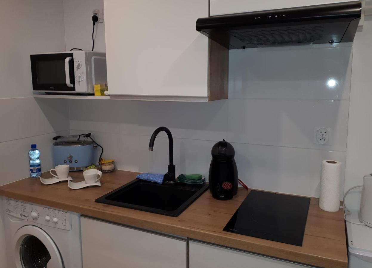 Apartamenty Centrum Panoramiczna Mala Dwojka Swan Labedz Promenada Klimatyzacja Lodowa Kielce Exterior photo