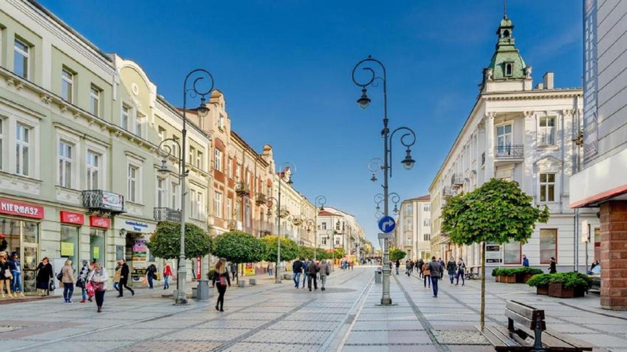 Apartamenty Centrum Panoramiczna Mala Dwojka Swan Labedz Promenada Klimatyzacja Lodowa Kielce Exterior photo