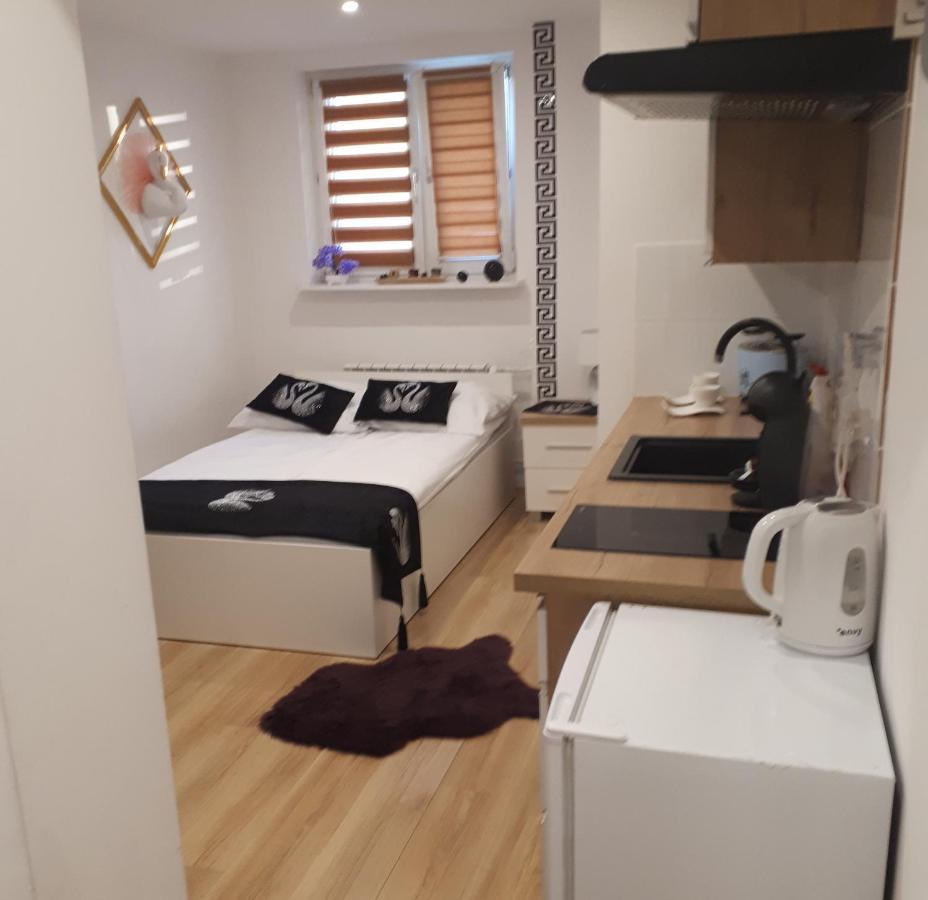 Apartamenty Centrum Panoramiczna Mala Dwojka Swan Labedz Promenada Klimatyzacja Lodowa Kielce Exterior photo